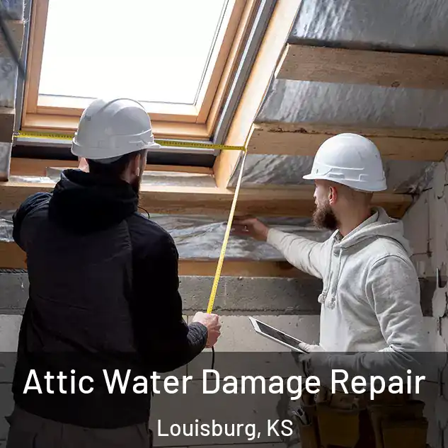  Attic Water Damage Repair Louisburg, KS