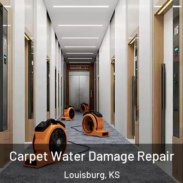  Carpet Water Damage Repair Louisburg, KS
