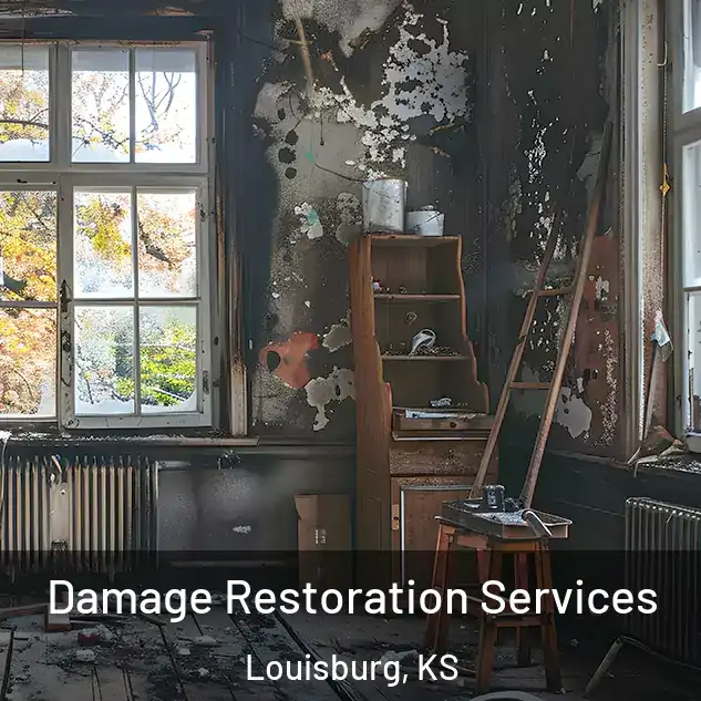  Damage Restoration Services Louisburg, KS