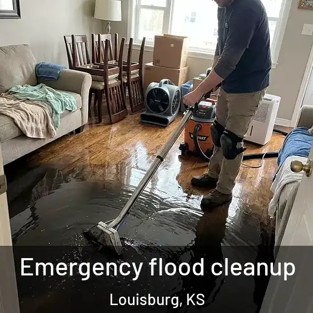  Emergency flood cleanup Louisburg, KS