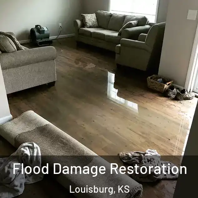  Flood Damage Restoration Louisburg, KS