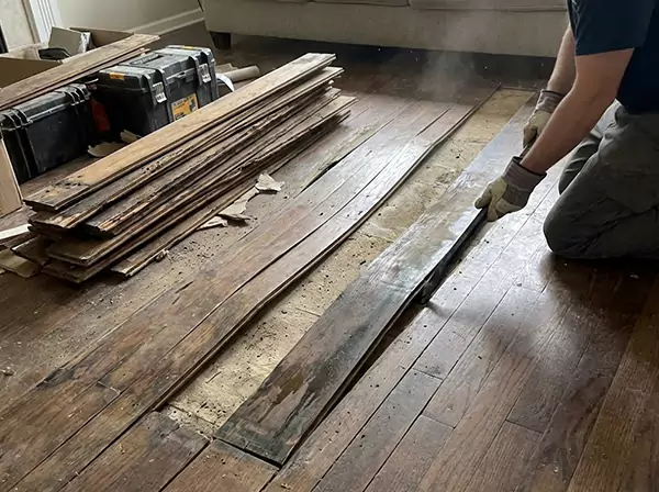 Water Damage Drying in Louisburg