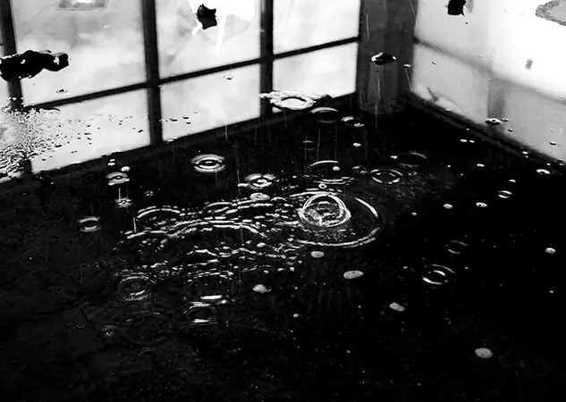 Your Contaminated Water Removal Specialists in Louisburg, KS