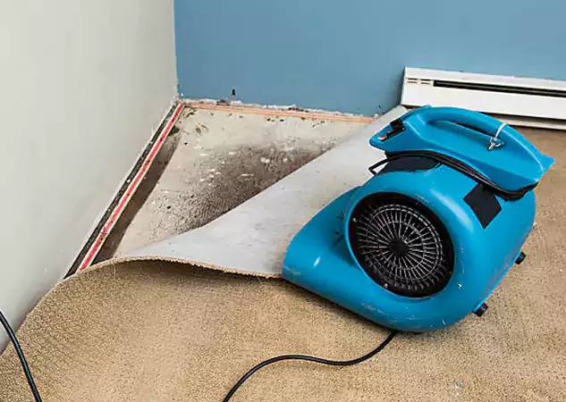 Your Water Damage Experts in Louisburg, KS