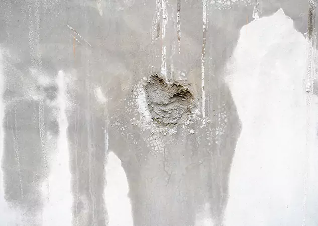 Your Mold Mitigation Solutions Partner in Louisburg, KS
