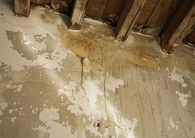 Your Trusted Restoration Company in Louisburg, KS