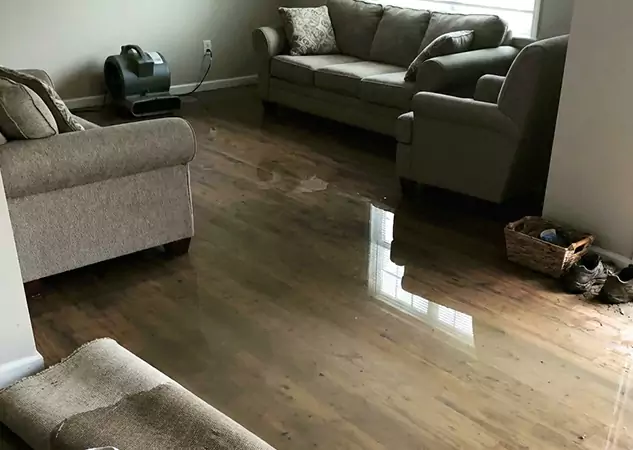 Your Trusted Restoration Company in Louisburg, KS