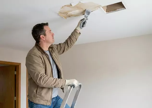 Your Ceiling Damage Repair Experts in Louisburg, KS