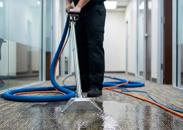 Your Water Damaged Carpet Restoration Partner in Louisburg, KS