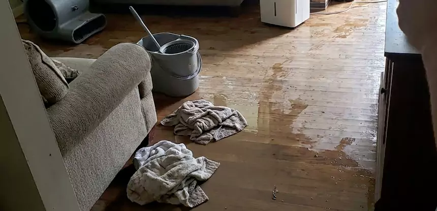 Professional Basement Water Remediation Services in Louisburg, KS