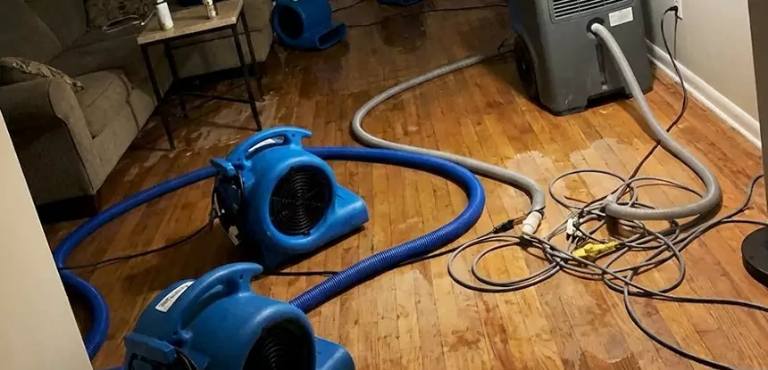Basement Flood Restoration Services in Louisburg