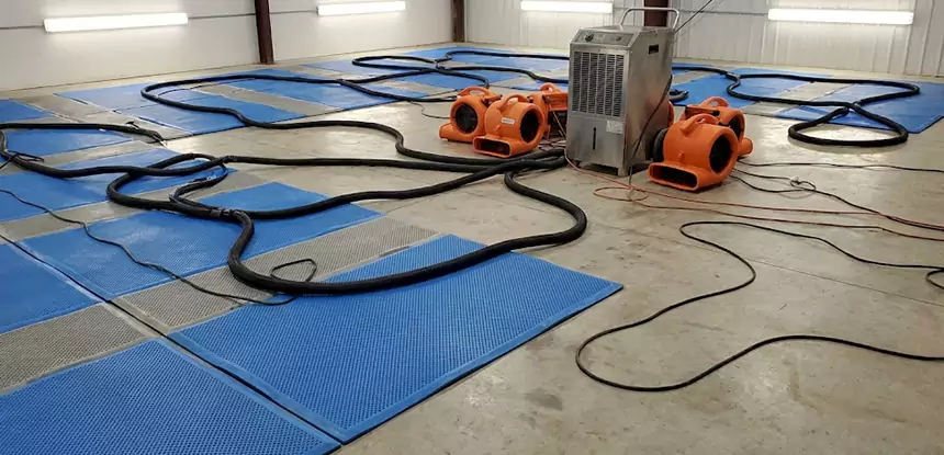 Large-Scale Water Cleanup in Louisburg