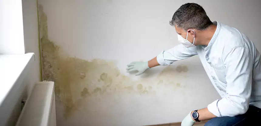 Mold and Water Damage Repair in Louisburg