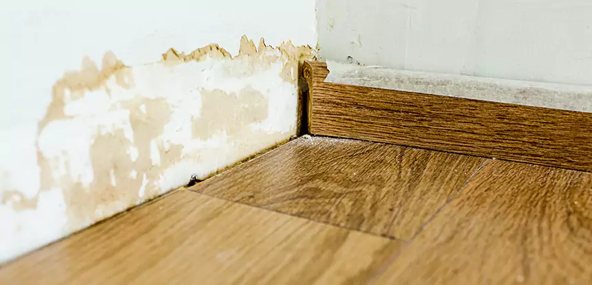 Professional Fix Water Damaged Wood Services in Louisburg, KS