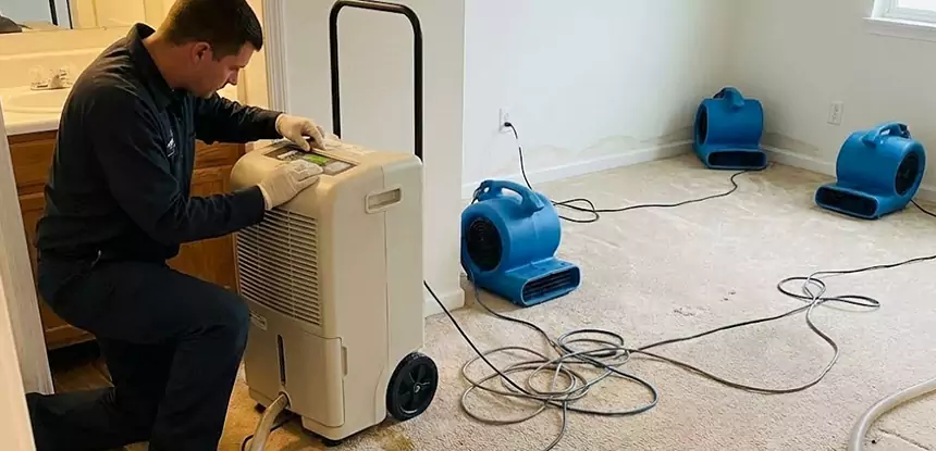 Professional Wet Carpet Removal Services in Louisburg, KS