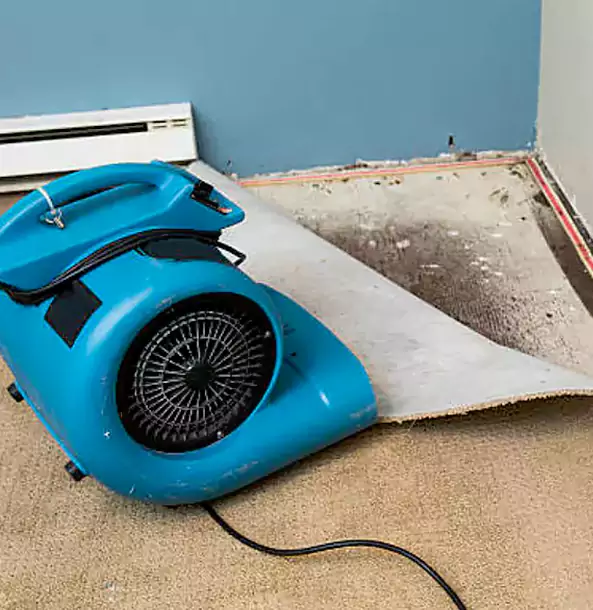Why Louisburg Trusts Louisburg Restoration Pro for Carpet Flood Recovery?