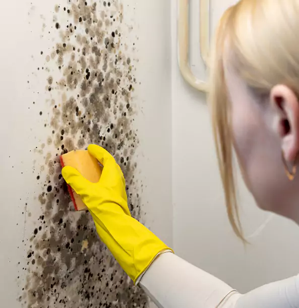 Why Louisburg Restoration Pro Leads Mold Remediation in Louisburg?