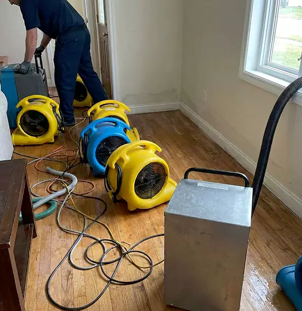 Why Louisburg Property Owners Choose Louisburg Restoration Pro for Remediation?