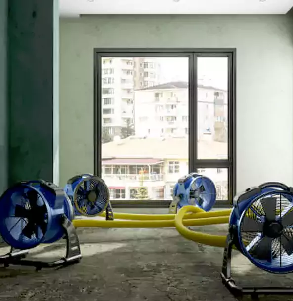 Why Louisburg Property Owners Trust Louisburg Restoration Pro for Water Damage Drying?