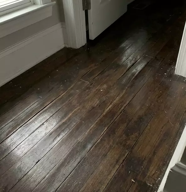 Why Louisburg Homeowners Trust Louisburg Restoration Pro to Fix Water Damaged Wood?