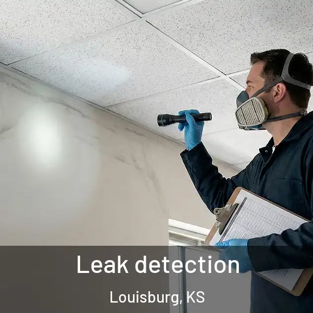  Leak detection Louisburg, KS