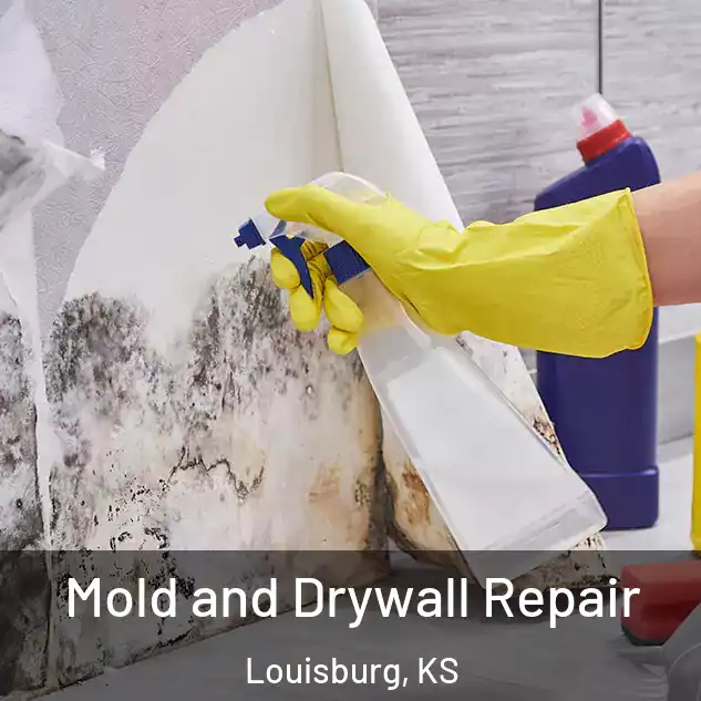  Mold and Drywall Repair Louisburg, KS