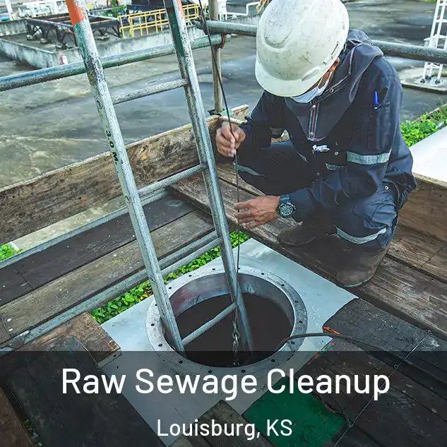  Raw Sewage Cleanup Louisburg, KS