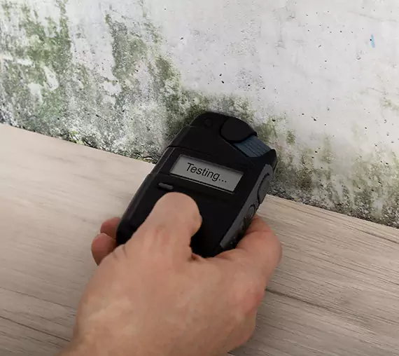 Mold Remediation Service Louisburg