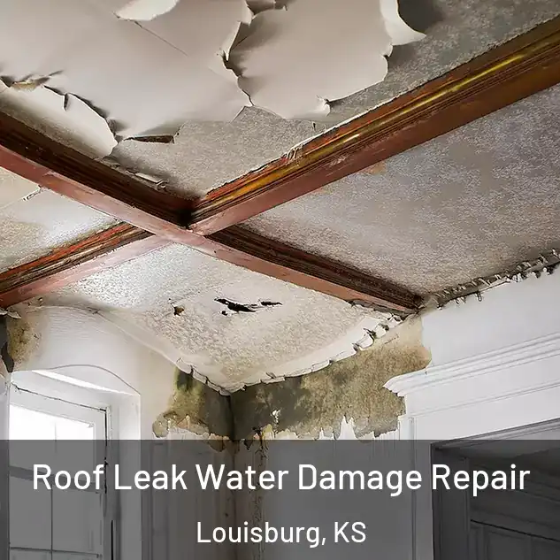  Roof Leak Water Damage Repair Louisburg, KS
