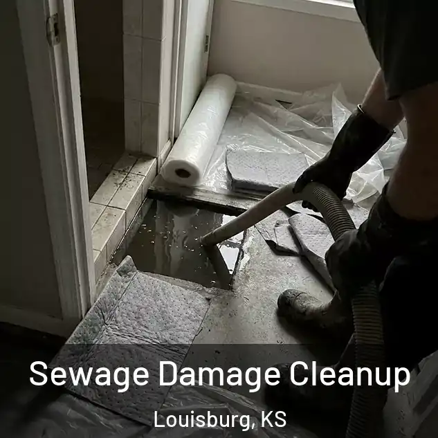  Sewage Damage Cleanup Louisburg, KS