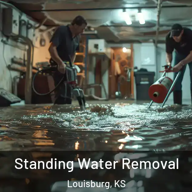  Standing Water Removal Louisburg, KS