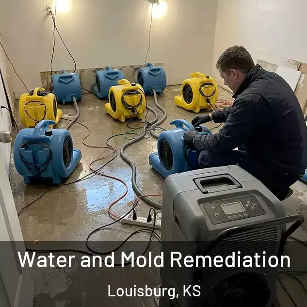  Water and Mold Remediation Louisburg, KS