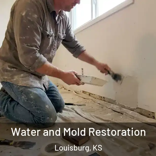 Water and Mold Restoration Louisburg, KS