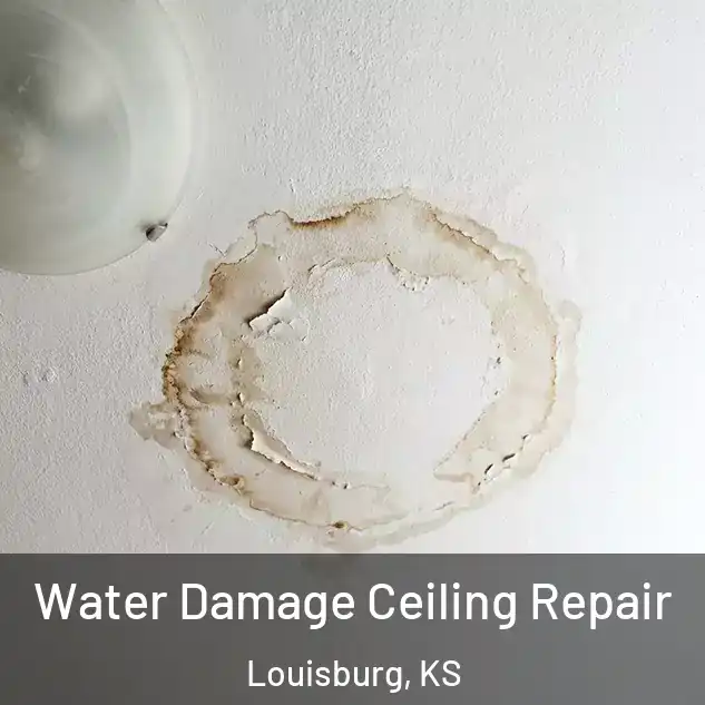  Water Damage Ceiling Repair Louisburg, KS