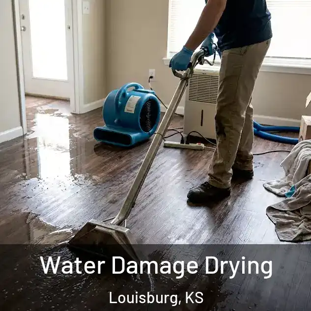  Water Damage Drying Louisburg, KS