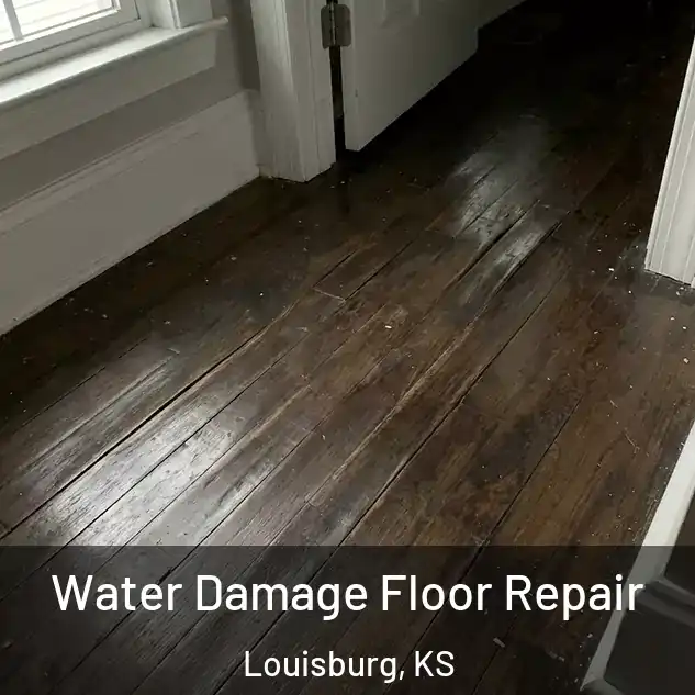  Water Damage Floor Repair Louisburg, KS
