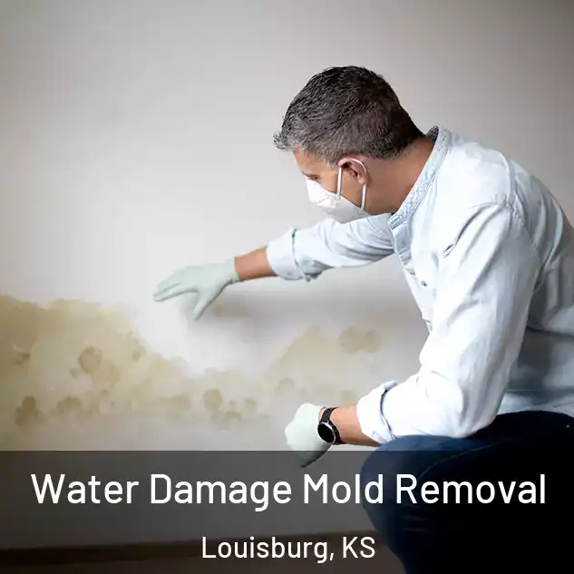  Water Damage Mold Removal Louisburg, KS