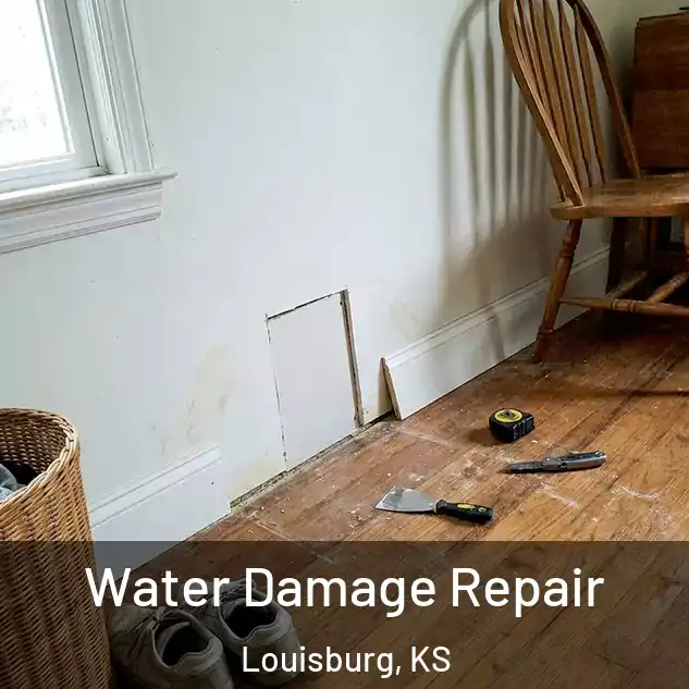  Water Damage Repair Louisburg, KS