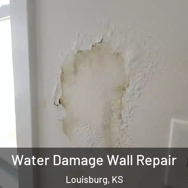  Water Damage Wall Repair Louisburg, KS