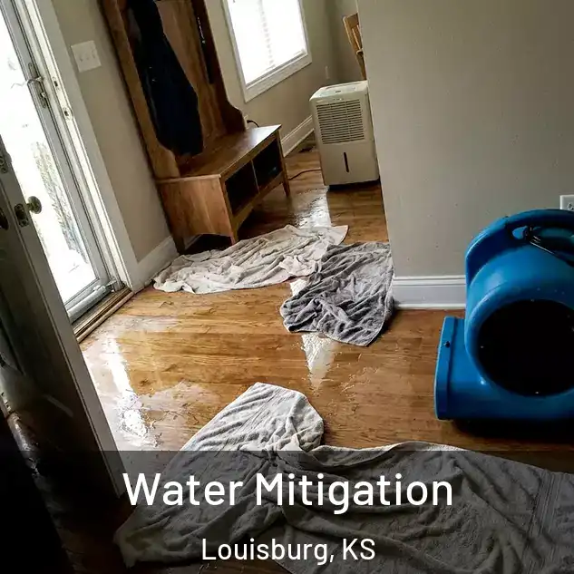  Water Mitigation Louisburg, KS