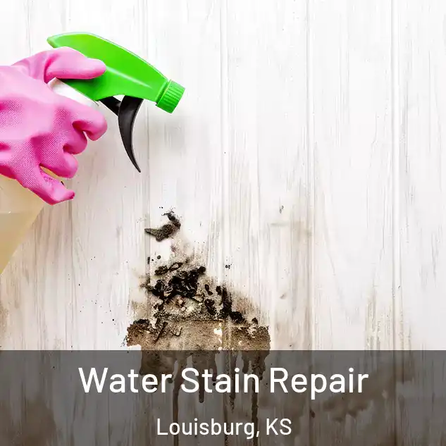  Water Stain Repair Louisburg, KS