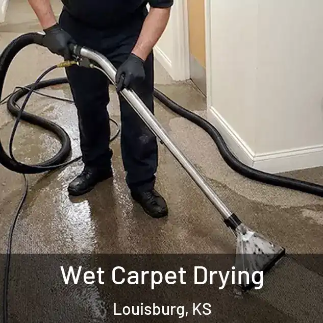  Wet Carpet Drying Louisburg, KS